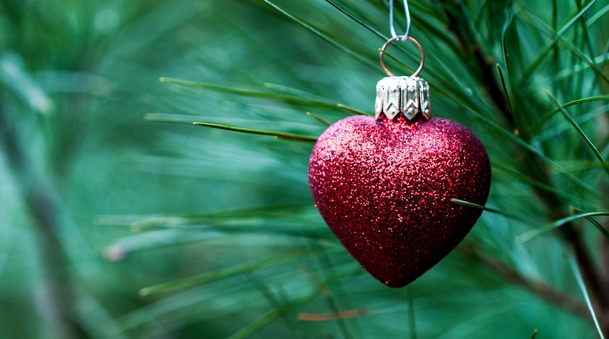игрушка новогодняя сердце сердечко красное ветка иголки ель праздники украшение новый год рождество