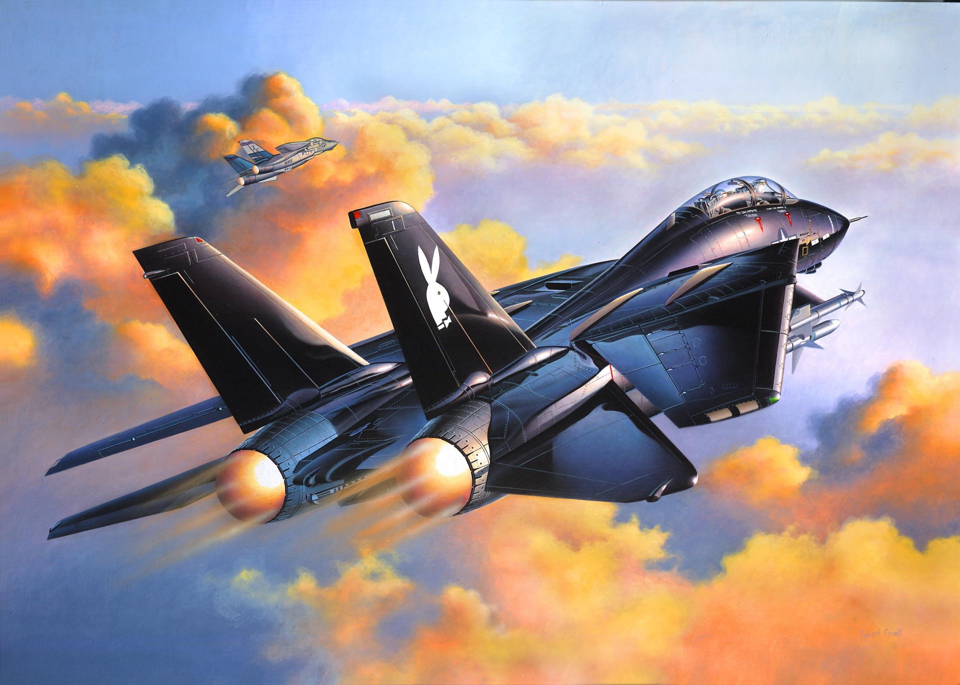 F14 tomcat art.