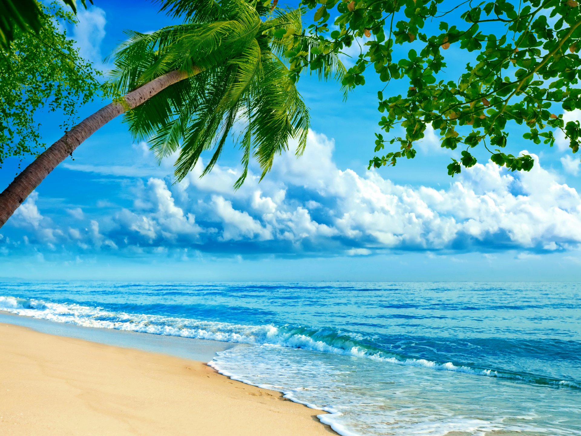 пальмы море берег песок горизонт облака тропики