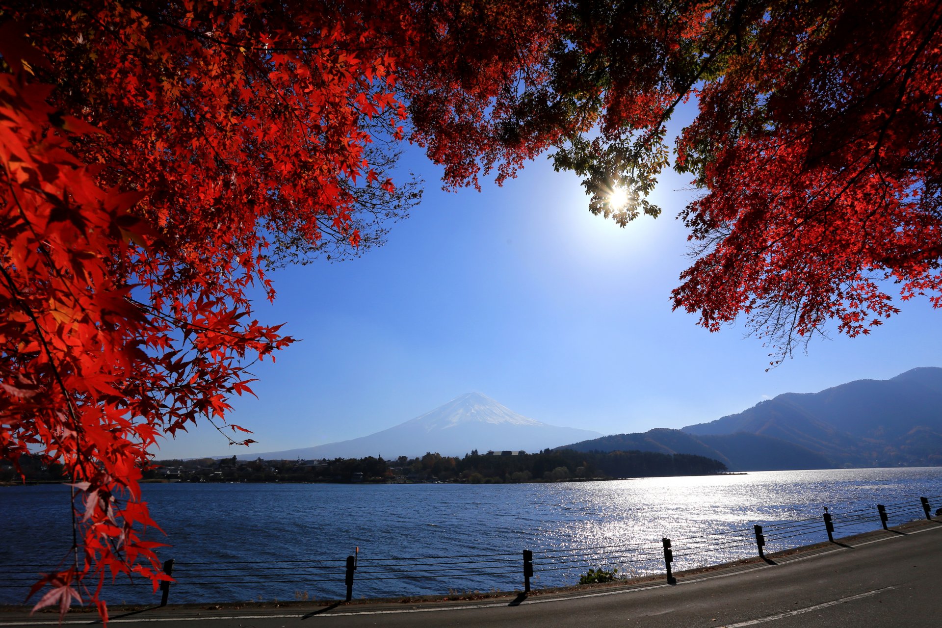 япония гора фудзи дорога река гора фудзияма ветки листья