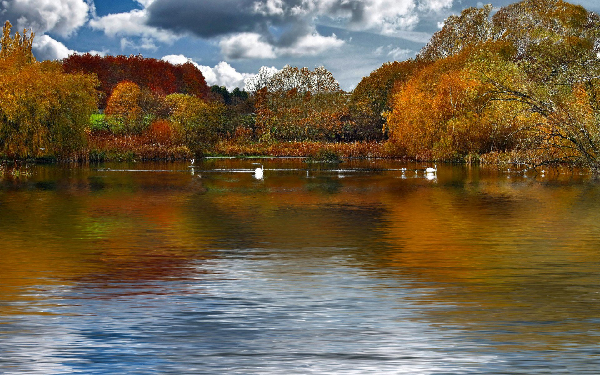 Осень озеро