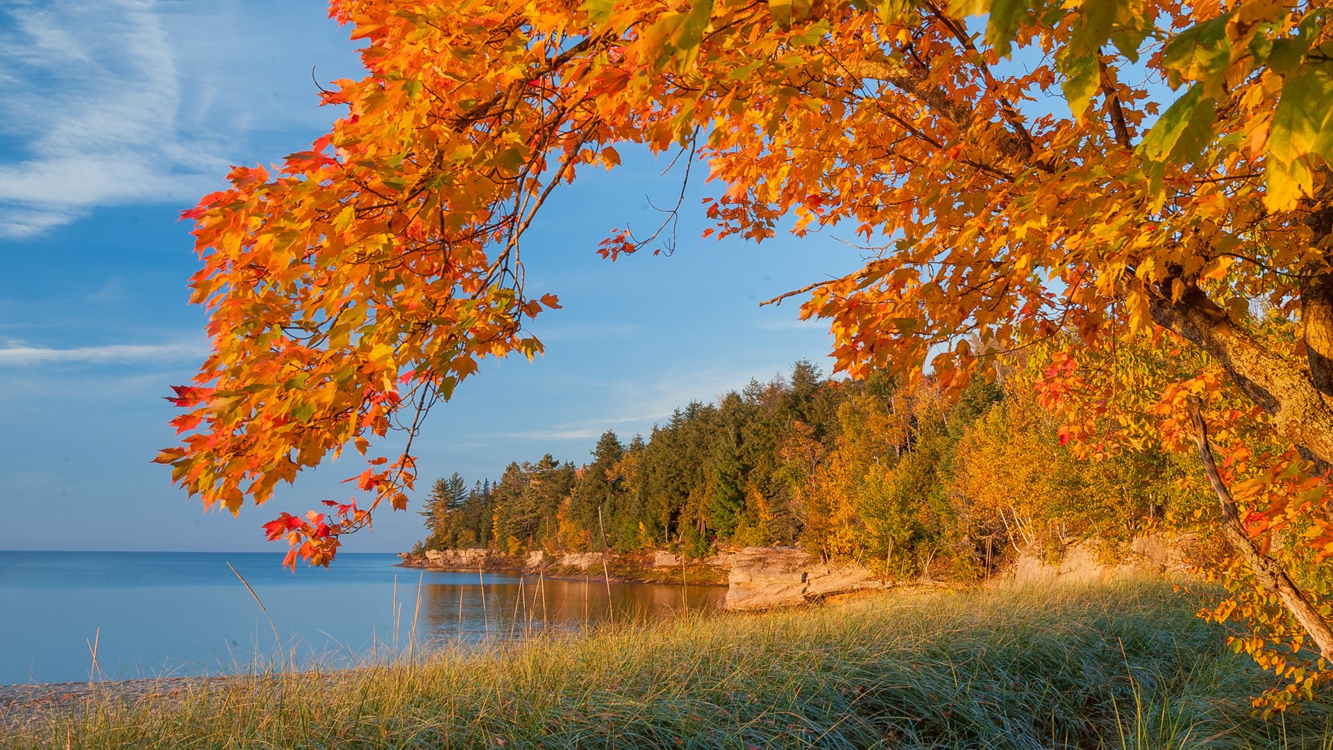 осень озеро деревья листья скачать