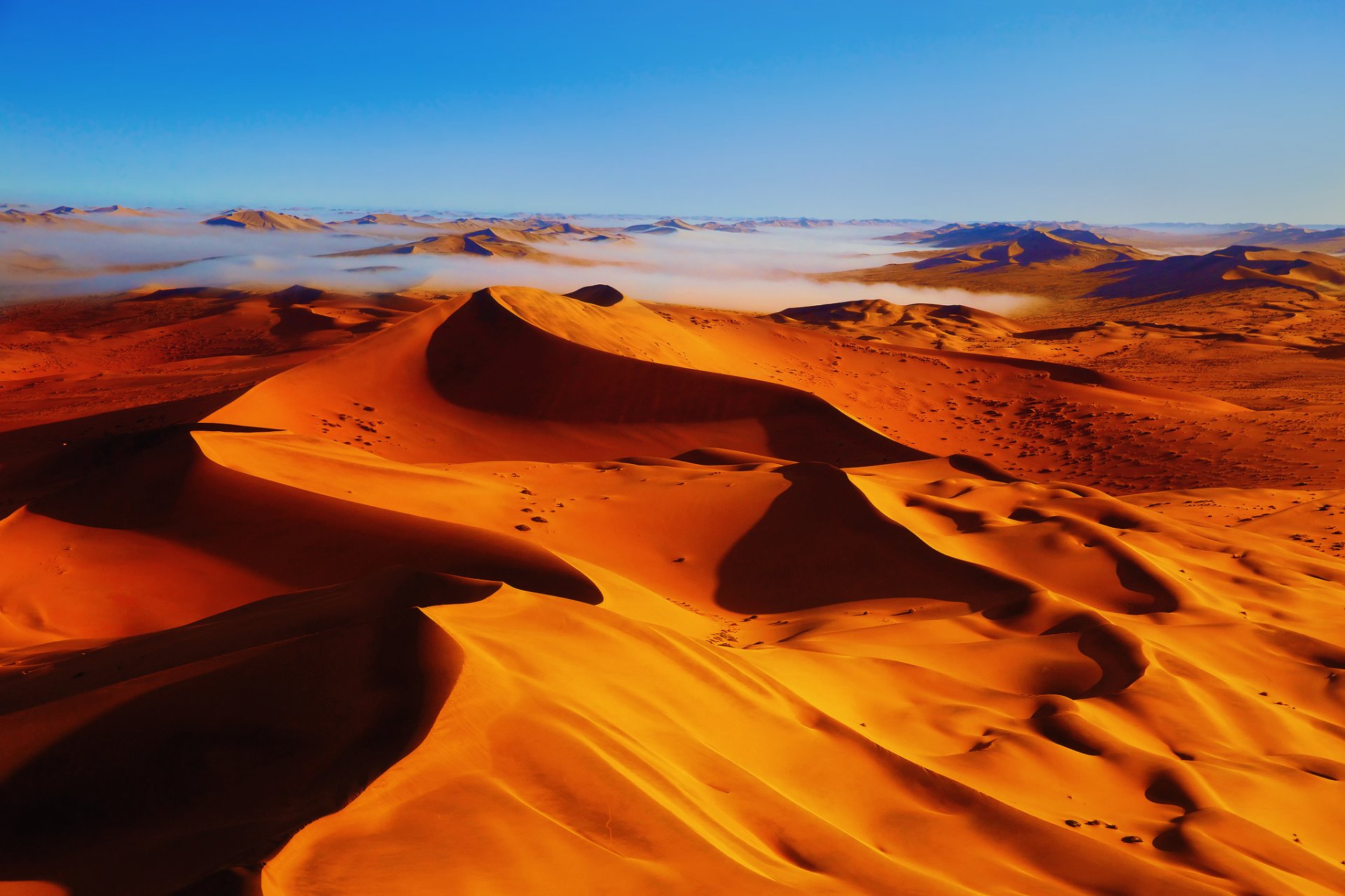 Cuál es el desierto más grande del mundo