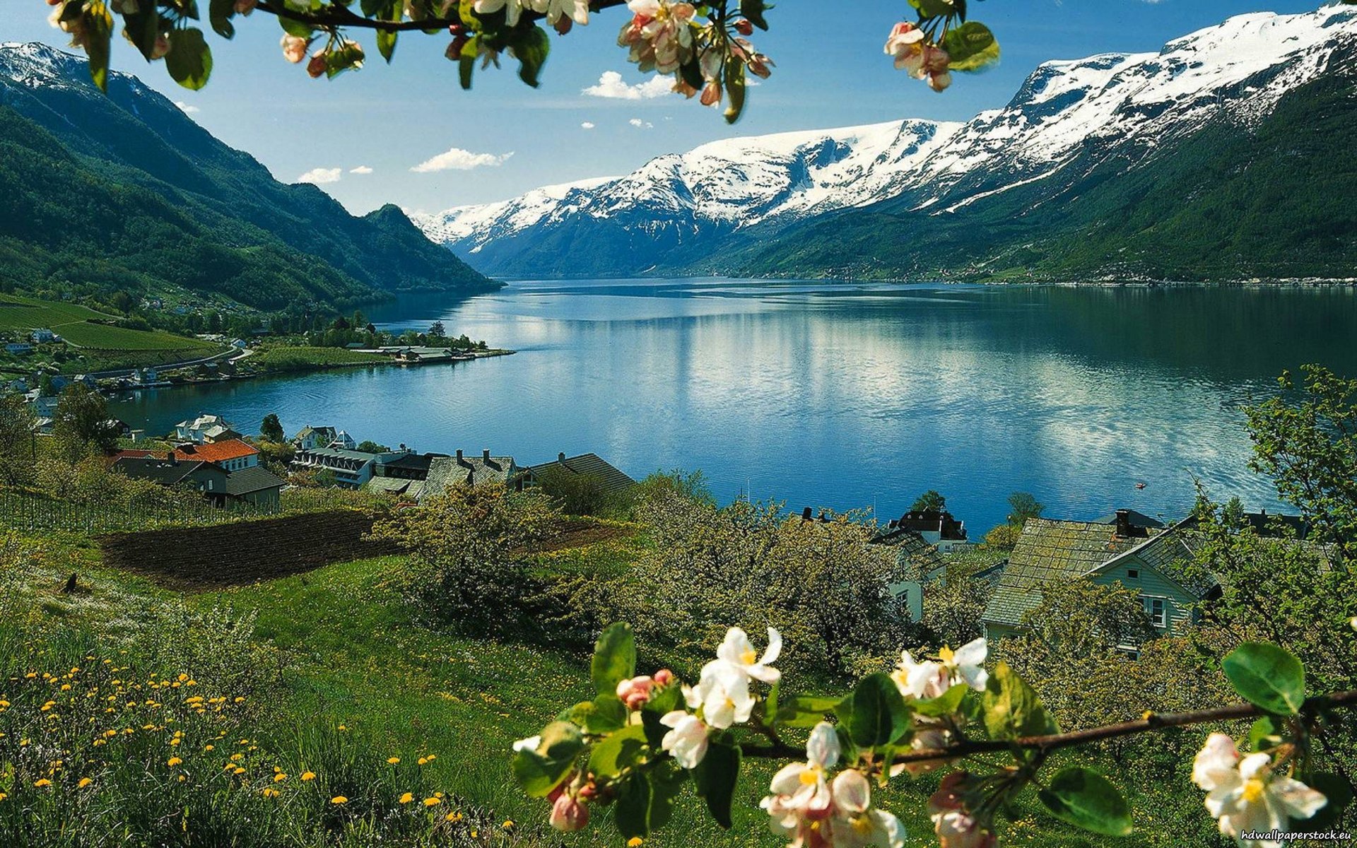 Местоположение и природа. Озеро в Норвегии Фьорд. Швейцария фьорды. Альпийские Луга Швейцария. Швейцария манзаралари.