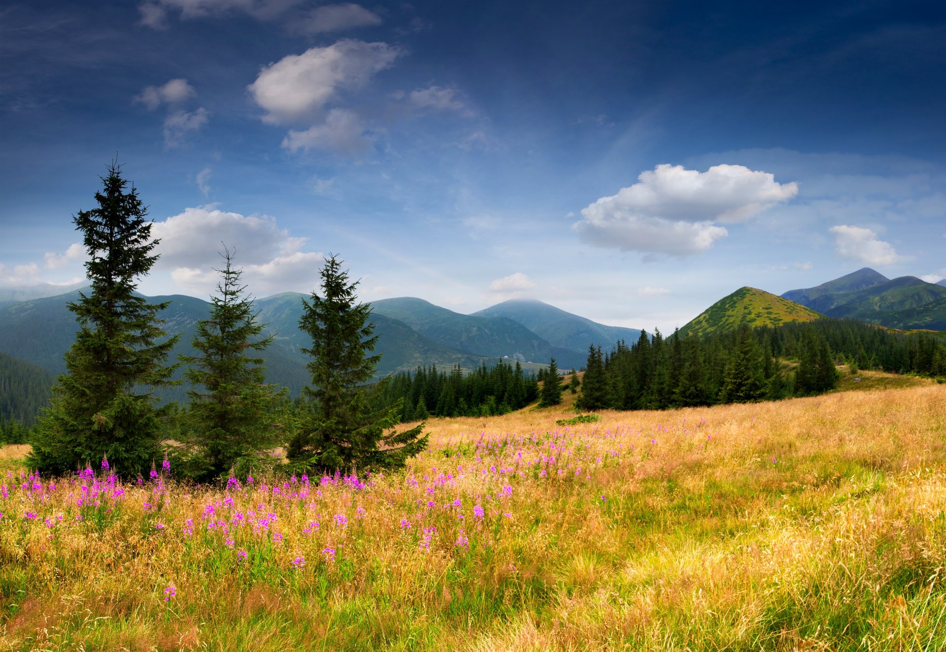 Русская природа картинки