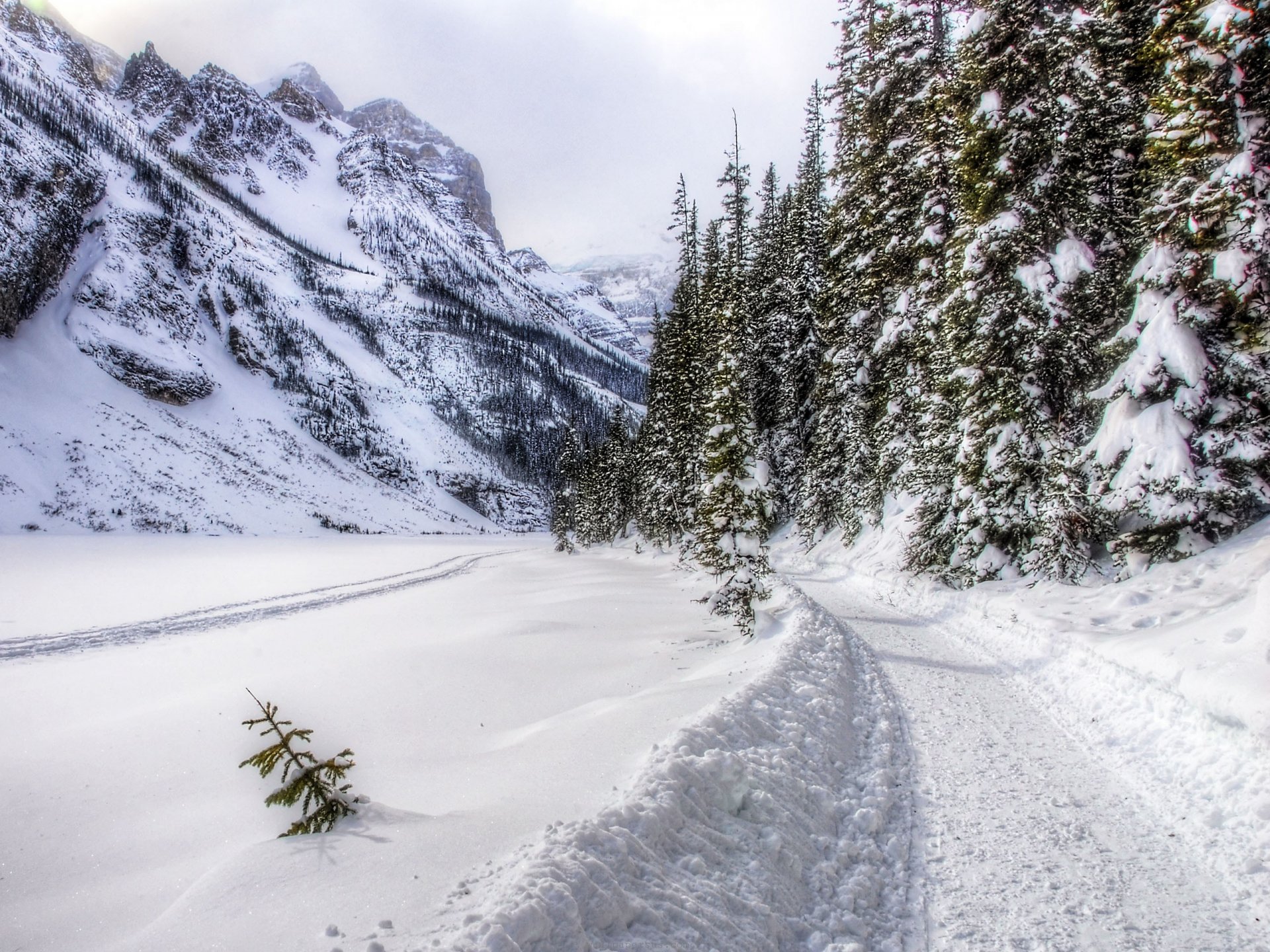 дорога снег лес road snow forest бесплатно