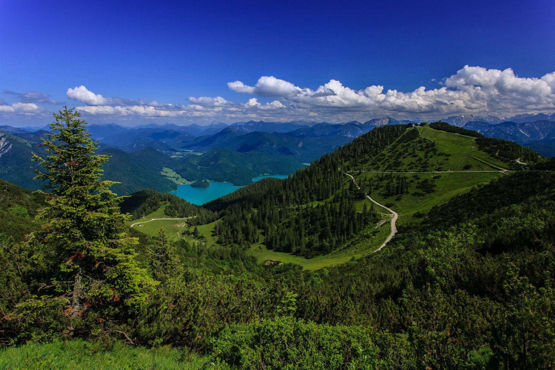 Bavarian Alps Germany Баварские Альпы Германия озеро леса панорама горы ...