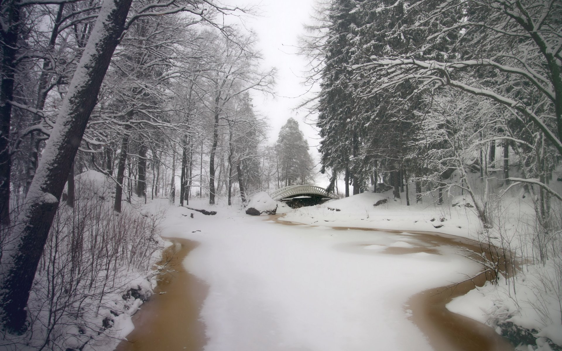 зима парк река мост деревья снег