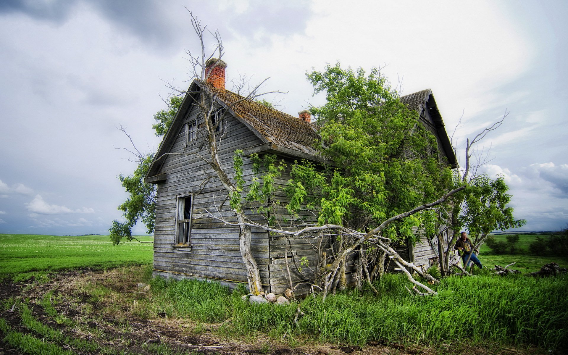 Старый заброшенный деревенский дом заросшая
