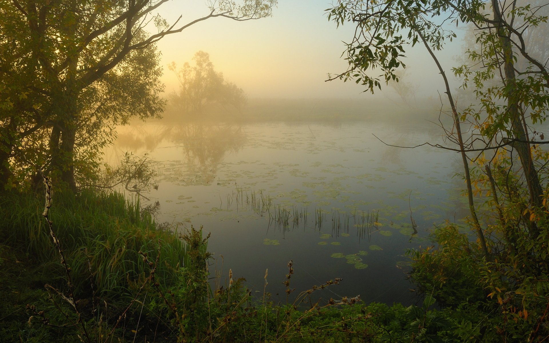 Озеро тихая вода. Озеро Рахмановская Старица. Река Векса туман. Берег реки туман. Туман на реке.