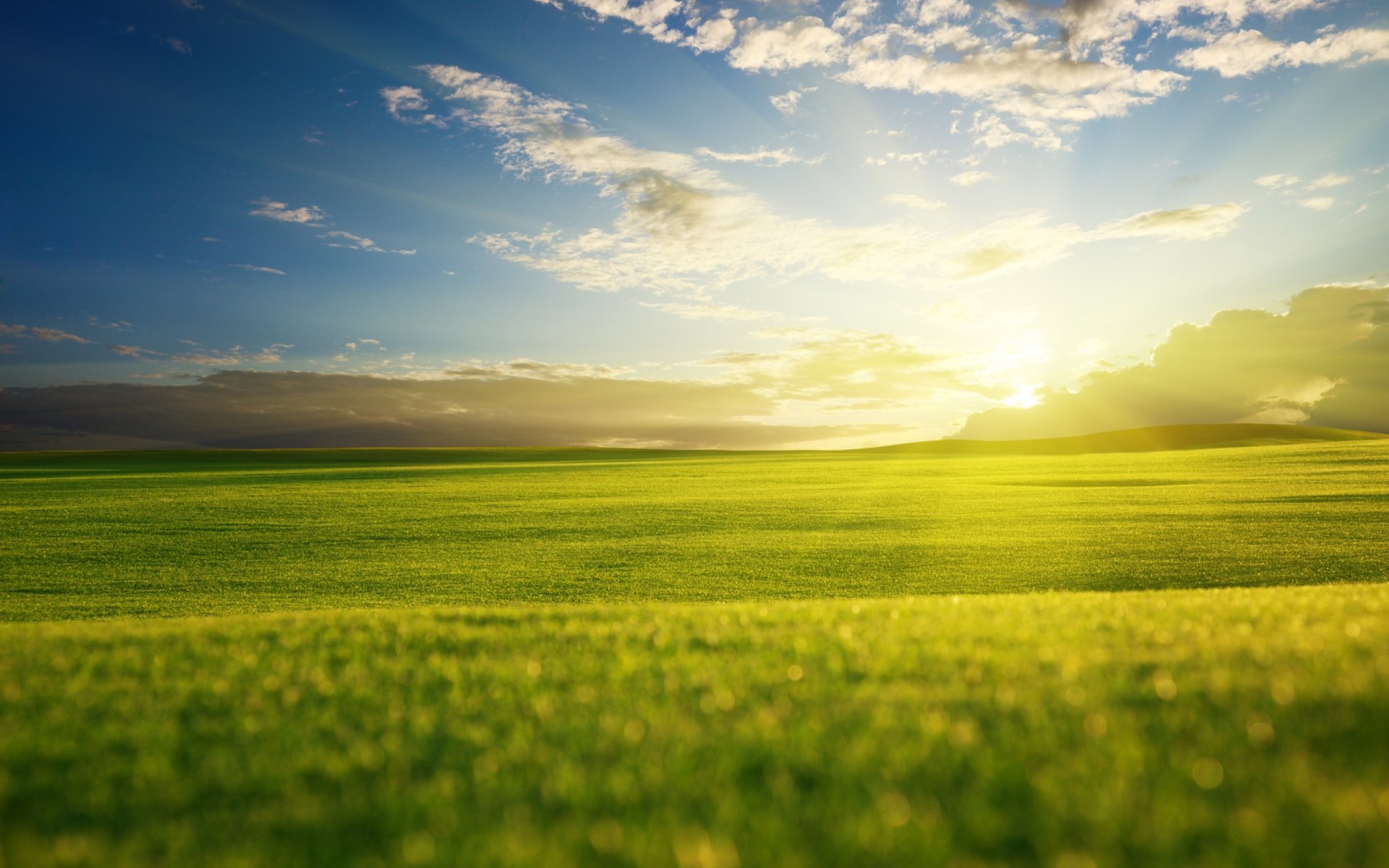 пейзажи природа вид поле поля трава травка травичка травы зеленая трава обои горизонт холмы долина долины небо облако облака солнце лучи свет вечер закат солнца широкоформатные обои на рабочий стол зе