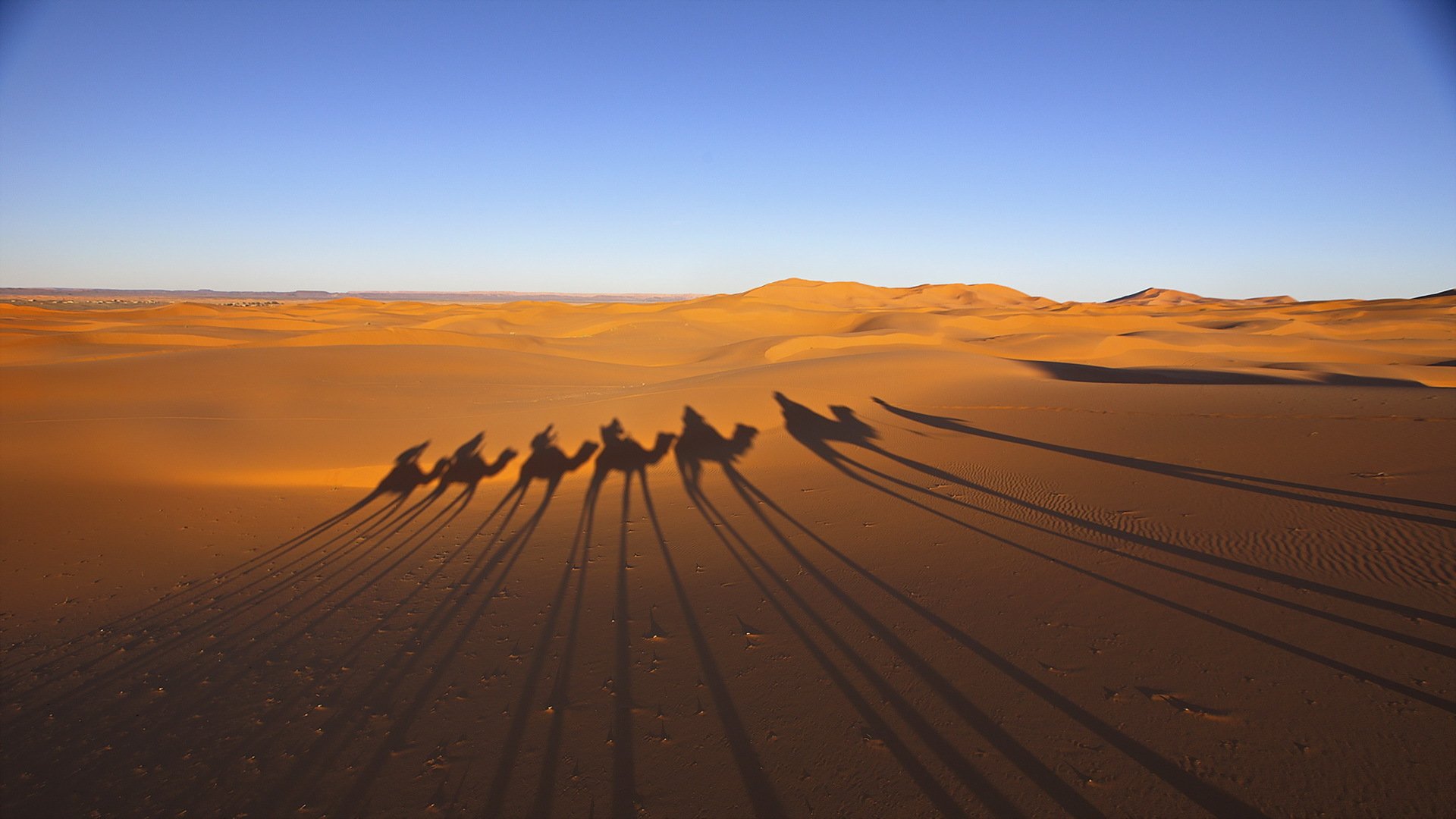 Небо караван. Пустыня Деште лут дюны. Пейзаж пустыни Кызылкум. Дюны Барханы Караван. Саудовская Аравия Барханы.