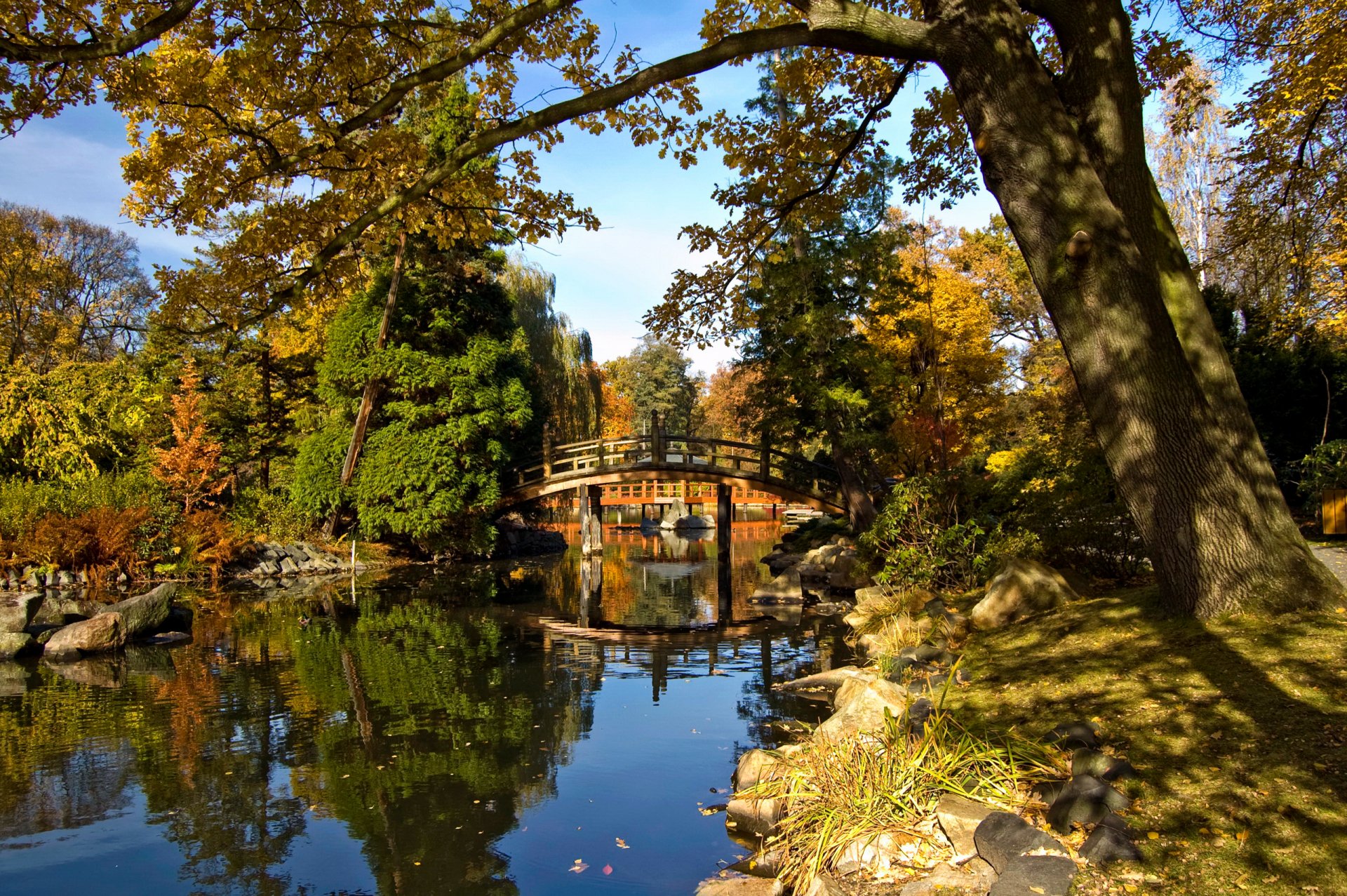 Осень парк пруд мостик