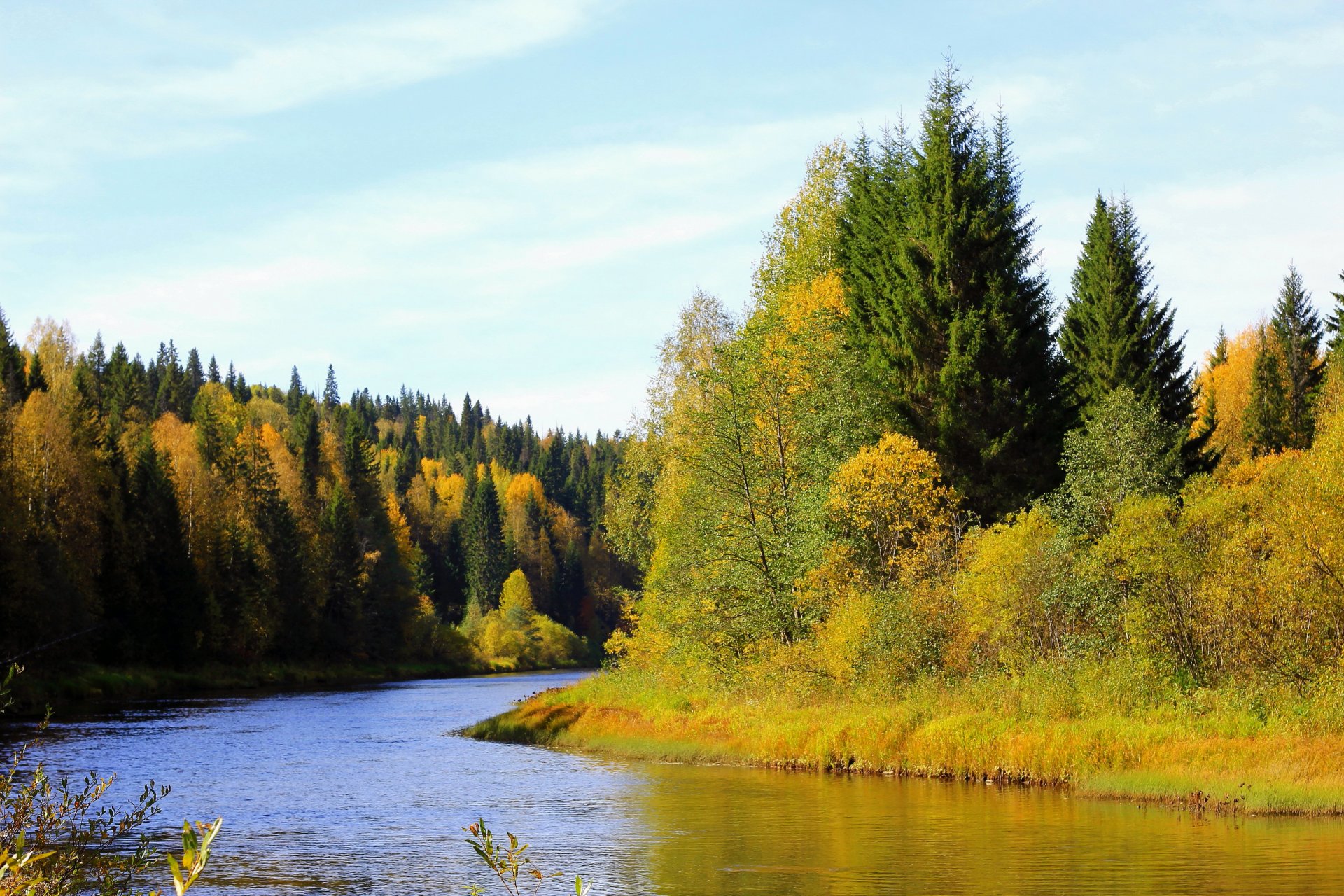 Река Березовая Пермский край осень