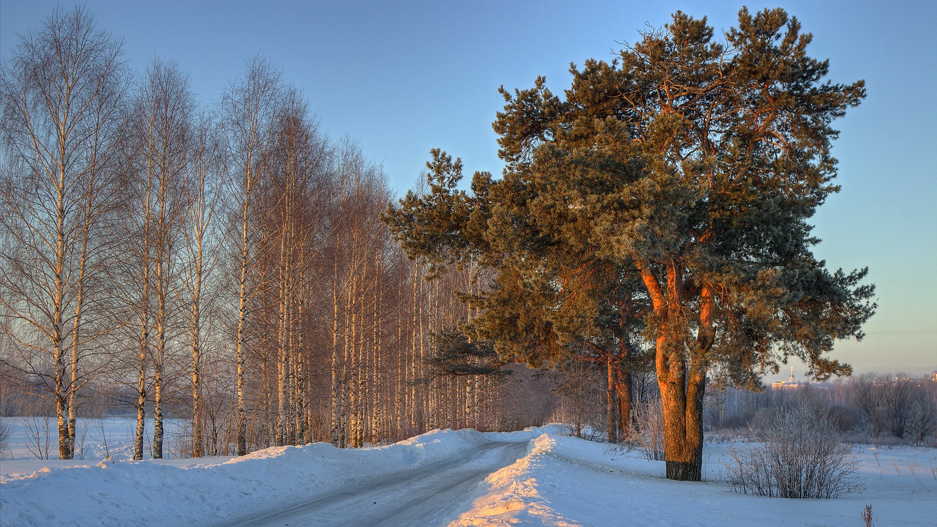 Русский зимний лес без смс
