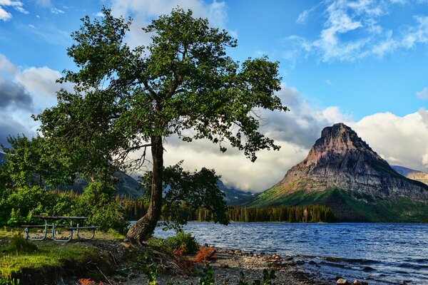 Пейзаж с деревьями фото