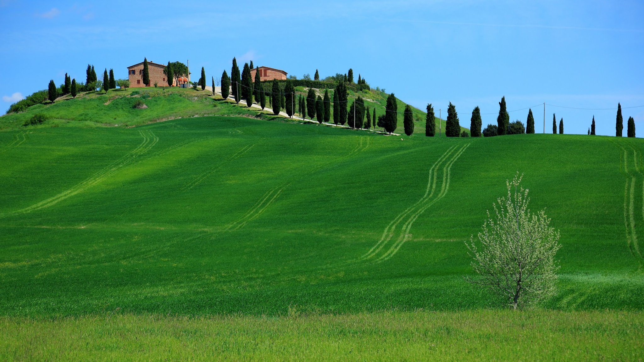 Цвет холм. Тосканские холмы, Италия. Тоскана Италия зелёные холмы. Италия холмы домики Тоскана. Тоскана Италия Луга.