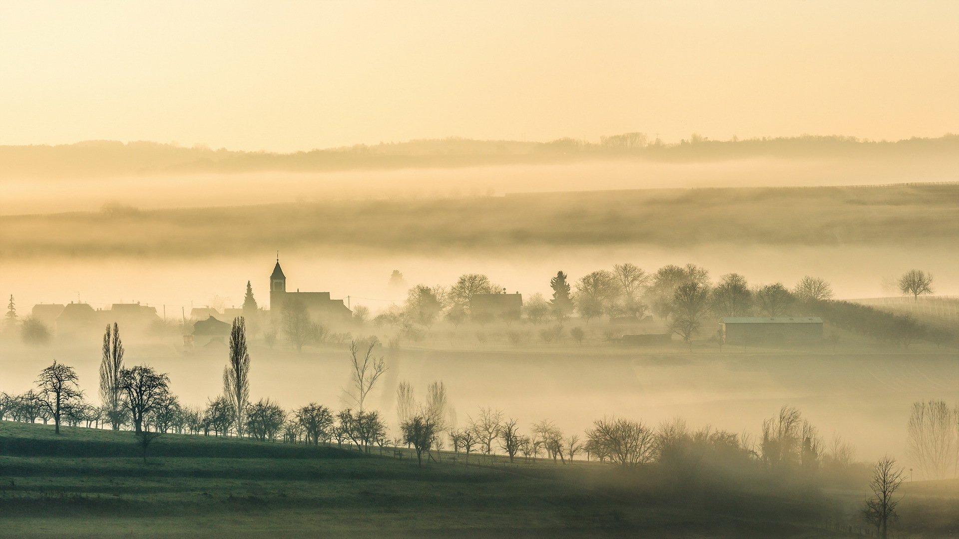 traenheim утро туман