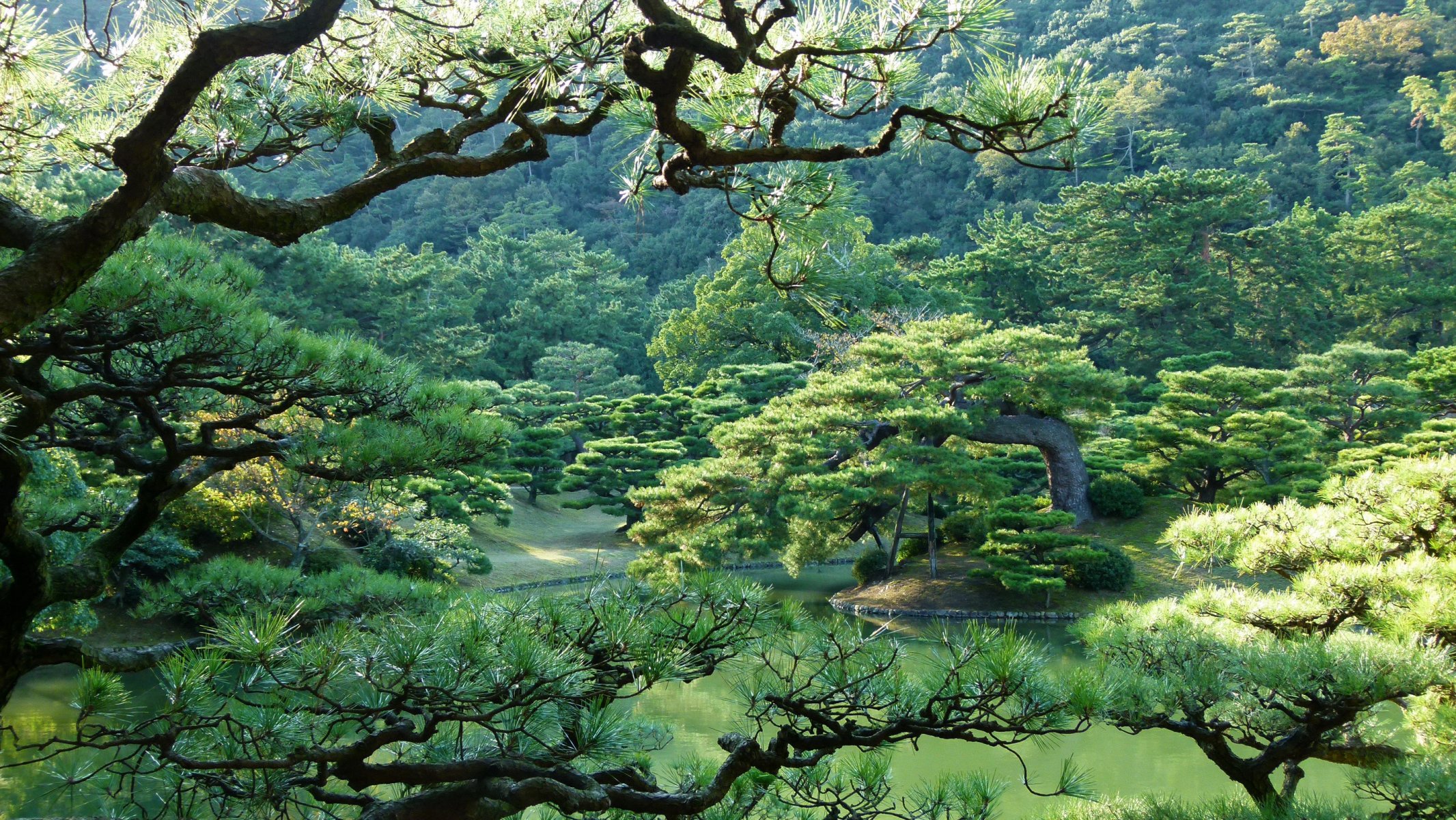 Великолепие японского парка в наличии зелени Обои на рабочий стол.